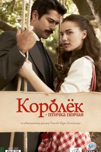 Королёк – птичка певчая 1 сезон 2013 сериал турция онлайн